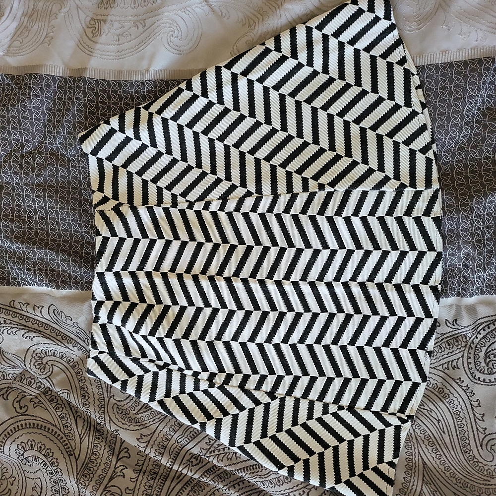 Zara Skirt, size 6. Brand new